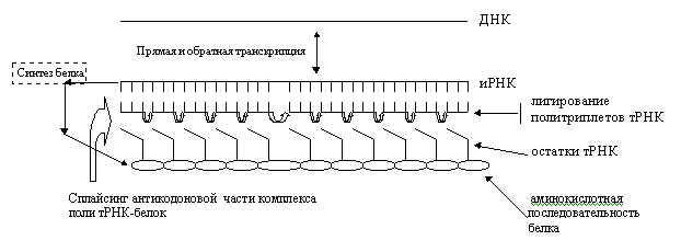 Рис.2. Второй путь клонирования паразитических белков in vivo